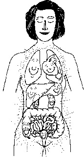 Psihosomaticitatea glandelor lazare (ficat, pancreas, intestine)
