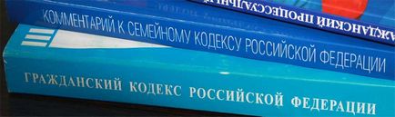 Розділ спільно нажитого майна подружжя поради та юридична допомога