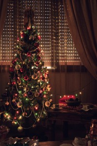 Ajánlások az operatőr karácsonyfa tegye fotó