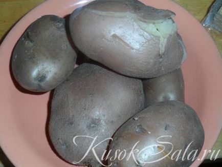 Recept tócsnikkal (palacsinta) - 5 előállítási módszerek (eljárások) Recept tócsnikkal (palacsinta) - előállítási módjait 5