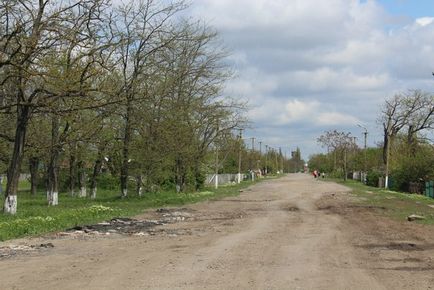 Рука «господаря», або як наводить порядки глава сільради на снігіревщіне - снігурівка інфо