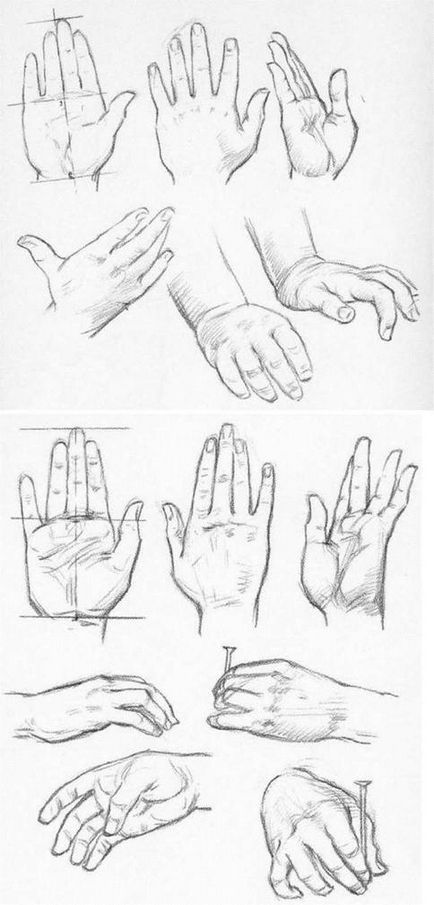 Mâinile, a treia parte, capul și mâinile desenate