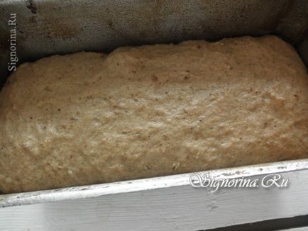 Житній хліб на заквасці з солодом і сухофруктами (без дріжджів)