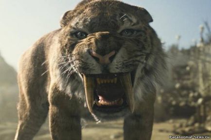 Kardfogú tigris él bizonyságot az afrikai vadász - titokzatos lények - Hírek