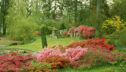 Сади Англії, красиві ідеї для саду