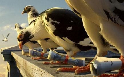 A leghíresebb bejegyzések madarak, érdekességek (amelyek leggyorsabb) A leghíresebb bejegyzések madarak, érdekességek