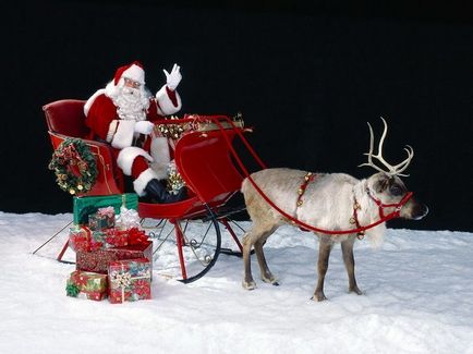 A legnépszerűbb kérdések Christmas, melyekre a válaszok kevesen tudják umkra (Karácsony) A legnépszerűbb kérdések Christmas, melyekre a válaszok kevesen tudják umkra