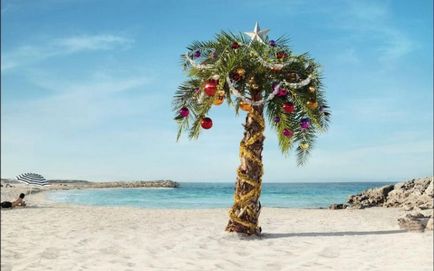A legnépszerűbb kérdések Christmas, melyekre a válaszok kevesen tudják umkra (karácsony) A legnépszerűbb kérdések Christmas, melyekre a válaszok kevesen tudják umkra