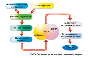 Simptome de sepsis, cauze de dezvoltare și metode de tratament a unei boli periculoase