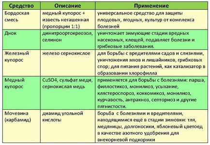 Lucrări sezoniere în îngrijirea grădinii copacilor de grădină la începutul primăverii