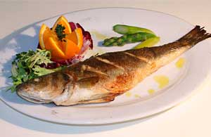 Сібас корисні властивості і колорійность, а також ви дізнаєтеся, де водиться риба сібас марикультура