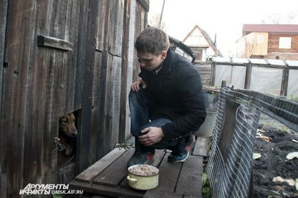 Собаку, яка навесні намагалася покинути Омськ на крижині, врятували восени, суспільство, АіФ омск
