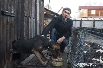 Câinele, care a încercat să părăsească Omsk în primăvară pe o floare de gheață, a fost salvat în toamnă, societatea aif Omsk