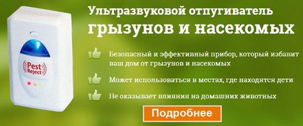 Сороконіжка домашня в квартирі, як позбутися від багатоніжок в приватному будинку