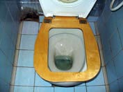 Eljárás fokozatos szoktatás macskák Cornish Rex a WC hasznos óvoda az elit