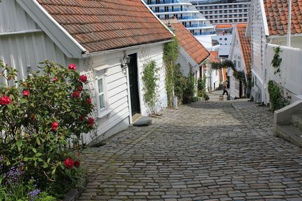 Ставангер (stavanger), Норвегія - круїзна стоянка у фіорді, як дістатися від