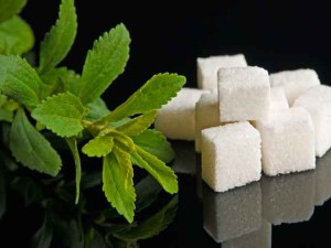 Beneficii Stevia și rău, înlocuitor de zahăr, fotografie