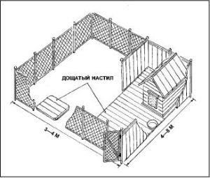 Construirea unui câine, știință și viață