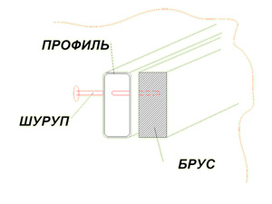 Construcția de seră - creșterea și forțarea cepei verzi