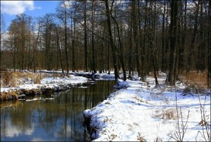 Весілля в березні - на що звернути увагу