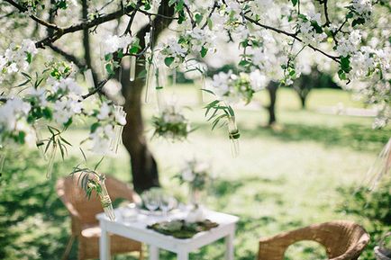 Весільна фотосесія в яблуневому саду