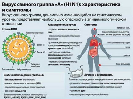 Свинячий грип як не захворіти