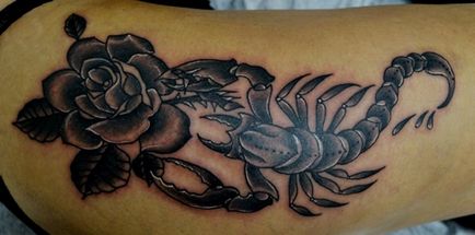 Skorpió tetoválás a vállán portál