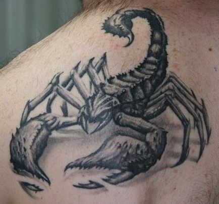 Tattoo scorpion pe umărul de pe portal