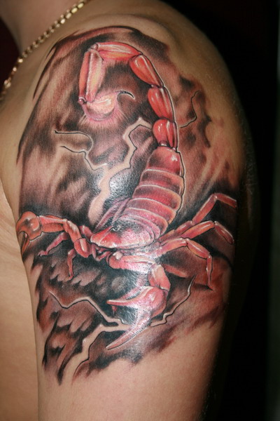 Tattoo scorpion pe umărul de pe portal