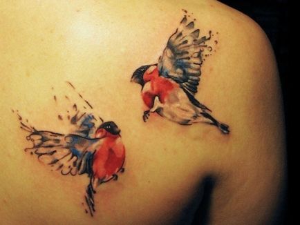 Tatuaj de bullfinch - adică, schițe de tatuaje și fotografii