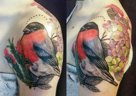 Tatuaj de bullfinch - adică, schițe de tatuaje și fotografii