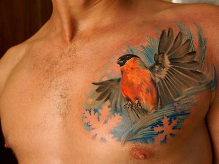 Tatuaj de bullfinch - adică, schițe de tatuaje și fotografii