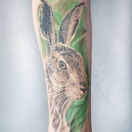 Tattoo nyúl érték tetoválás, fotók, vázlatok (nyúl) Tattoo nyúl érték tetoválás, fotók, vázlatok