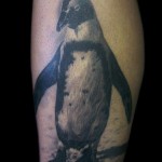 Tattoo Penguin érték, és a fénykép miniatűr