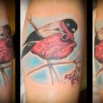 Bullfinch tatuaj - valoare, cele mai bune schițe și fotografii