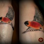 Bullfinch tatuaj - valoare, cele mai bune schițe și fotografii