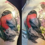 Bullfinch tatuaj - valoare, cele mai bune schițe și fotografii