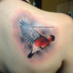 Bullfinch tatuaj - valoare, cele mai bune schițe și fotografii