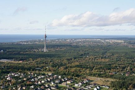 Телевежі по всьому світу