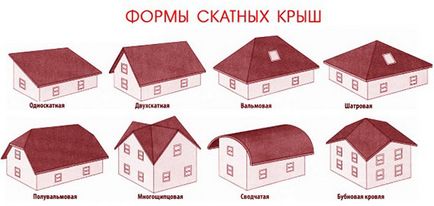 Типи дахів і їх конструктивні особливості, господар в хаті