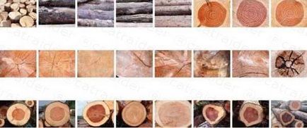 Tonificarea și vopsirea lemnului 1 - o căutare reușită