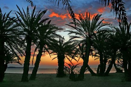 Wai - plaja de palmier (greece) - portal turistic - lumea este frumoasă!