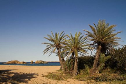 Vai - Palm Beach (Görögország) - útikalauz - a világ gyönyörű!