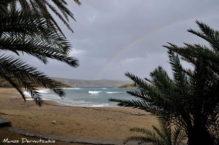 Wai - plaja de palmier (greece) - portal turistic - lumea este frumoasă!