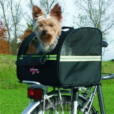 Biciclete plimbare cu un câine - este real (biciclete tur), o revistă online despre biciclete