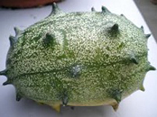 Termesztése egzotikus növények (egzotikus) Termesztése egzotikus növények