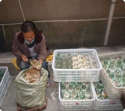 Cultivarea ciuperci chinezești