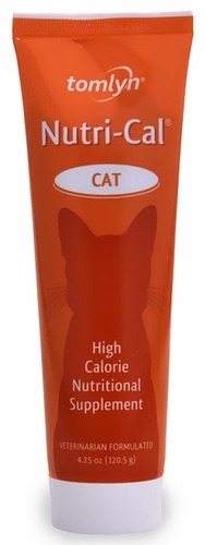 Вітаміни і харчові добавки для кішок і кошенят