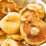 Смачна грибна ікра рецепти приготування на зиму