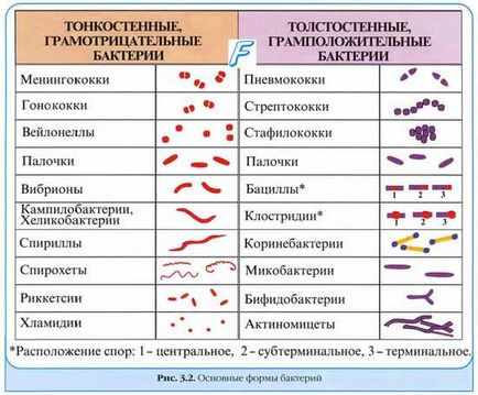 Infecții intraspitalicești